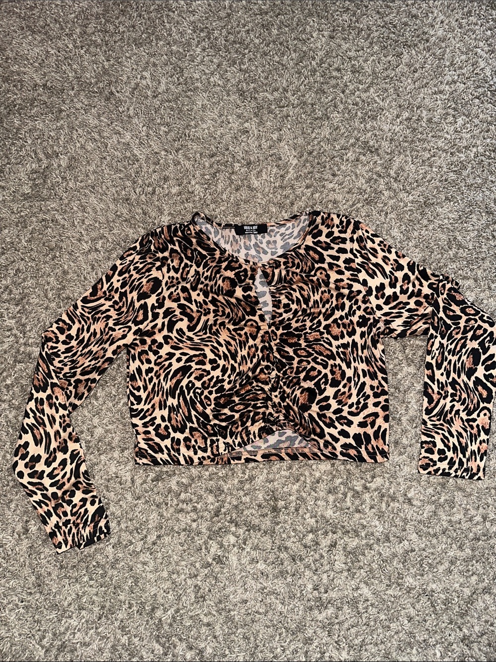Leopard Print Ruched Long Sleeve Crop Top - Unknown Brand - Beige/Brown/Black
